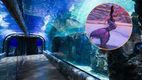 Acuario Imbursa presenta show 'Sirenas y Tritones' hasta el 30 de abril.