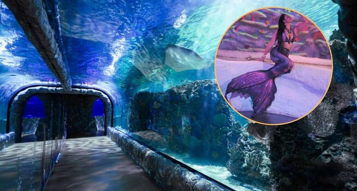 Acuario Imbursa presenta show 'Sirenas y Tritones' hasta el 30 de abril.