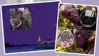 The Last of Us 2: Estos son los mejores memes del segundo episodio