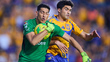 Rayados y Tigres son protagonistas en Liga MX. (Foto: Mexsport)