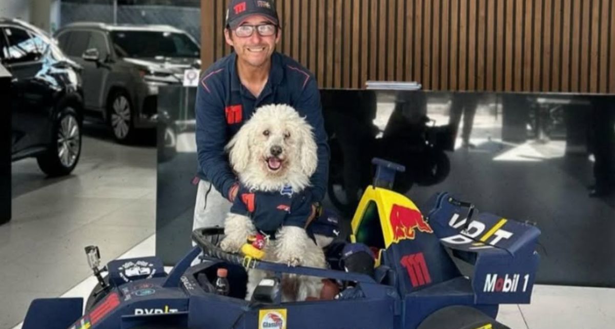 ¡Hasta siempre, Fabbio! Fallece el perrito fan de Fórmula 1 y Checo Pérez. (FOTO): @ fabbio_f1 (Instagram).