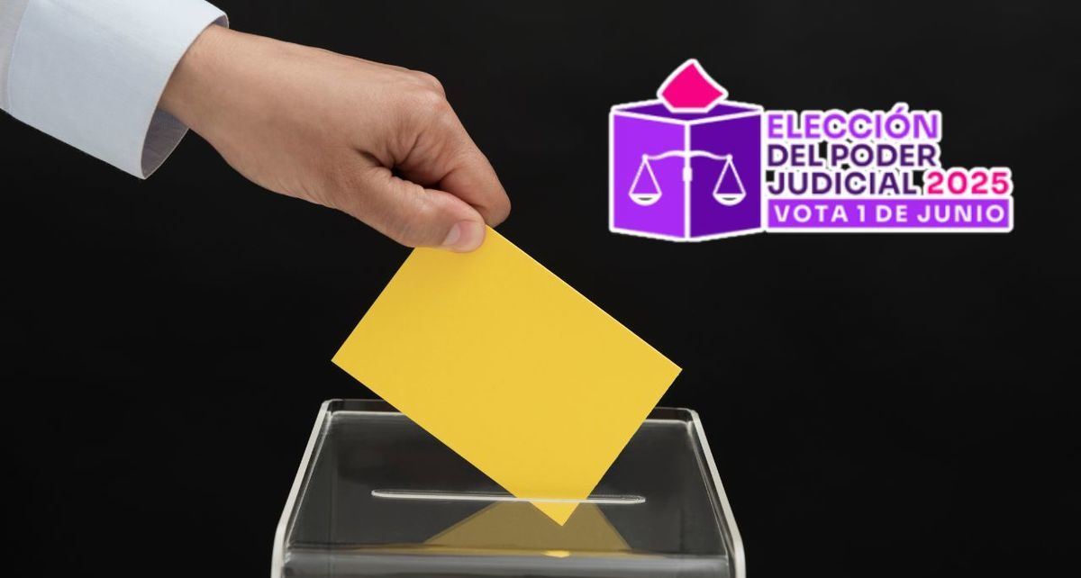 INE crea plataforma 'Conócelos, Práctica y Ubica' para elecciones 2025