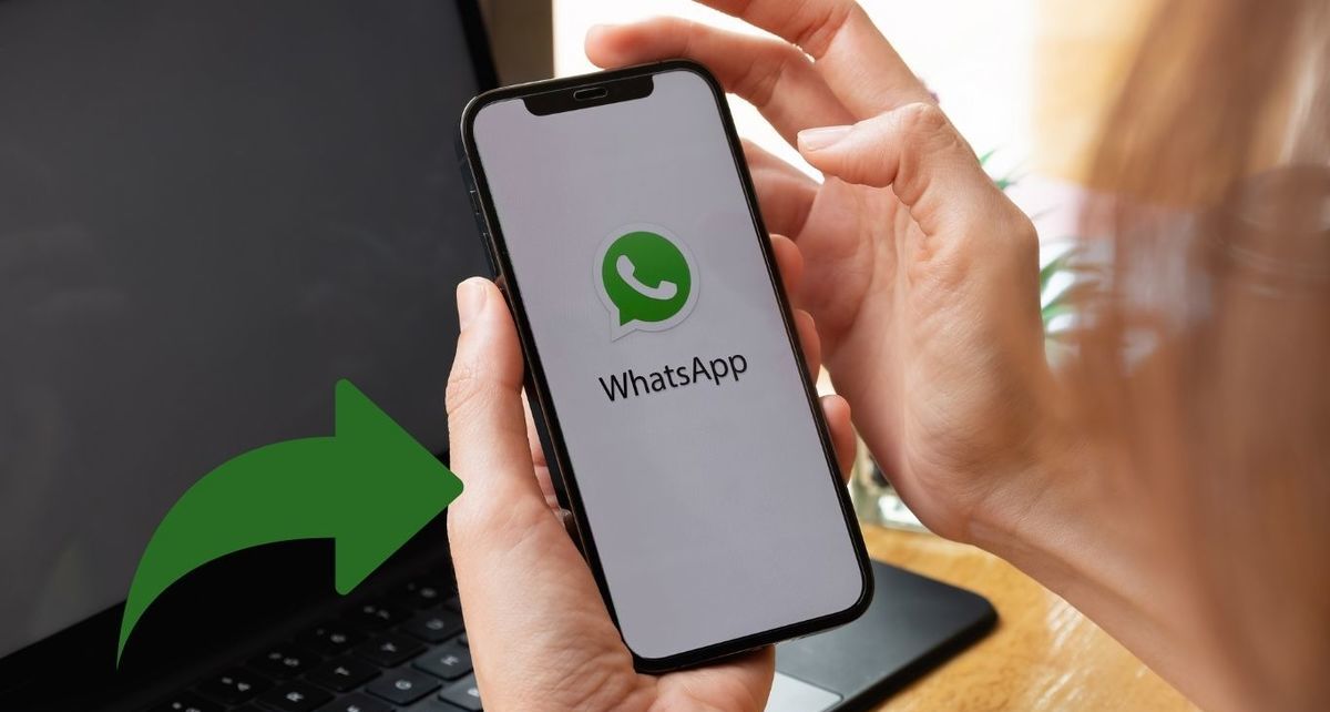 Privacidad en WhatsApp 2025: Bloquea el reenvío de mensajes y protege tus fotos (FOTO:Especial)