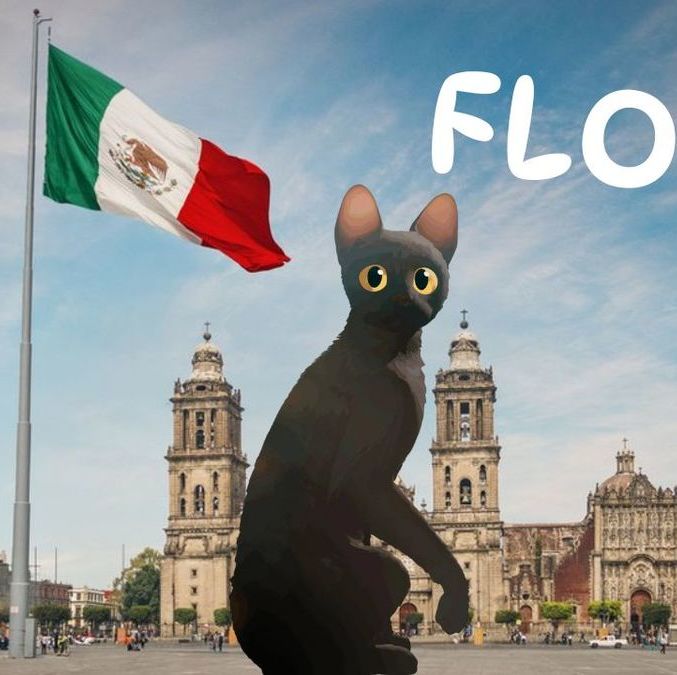 'Flow' se proyectará gratis en el Zócalo de la CDMX por el Día del niño: Horario y detalles aqui.