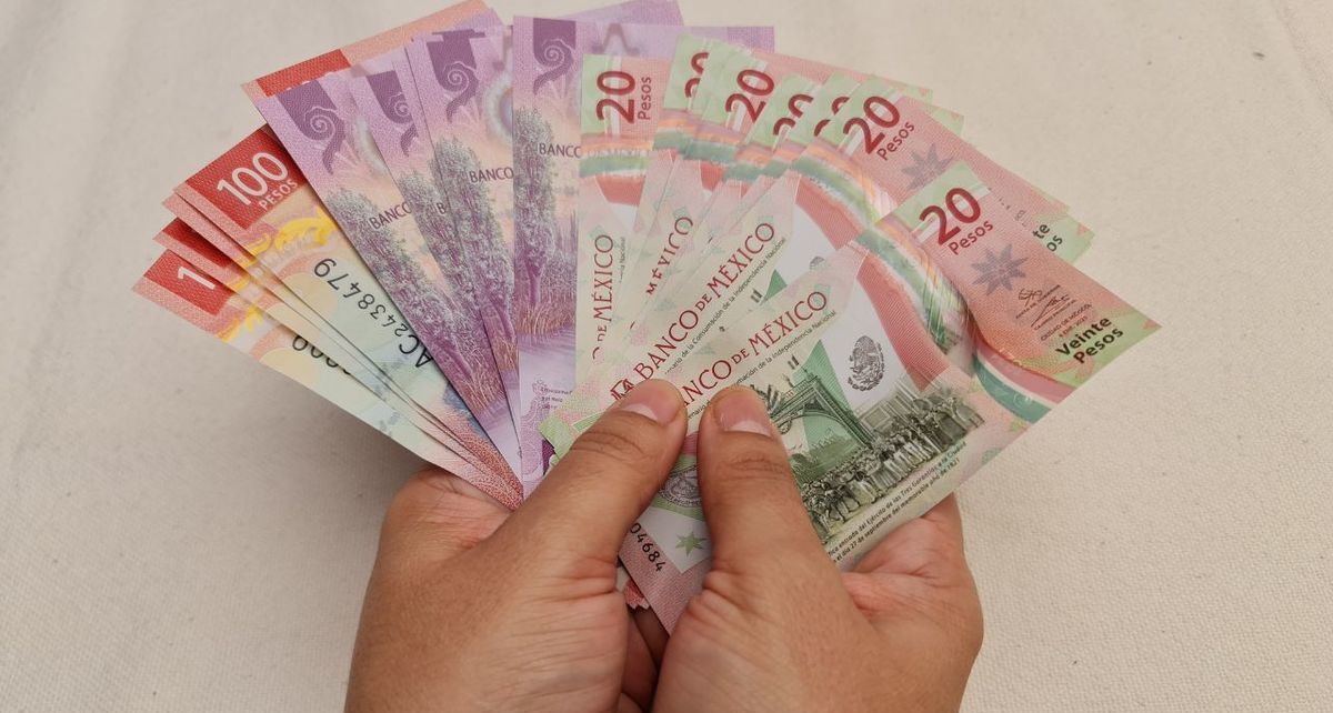 ¿Puedo obtener el reparto de utilidades aunque ya no trabaje en la empresa este 2025? (FOTO): Canva.