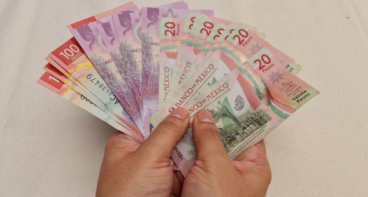 ¿Puedo obtener el reparto de utilidades aunque ya no trabaje en la empresa este 2025? (FOTO): Canva.