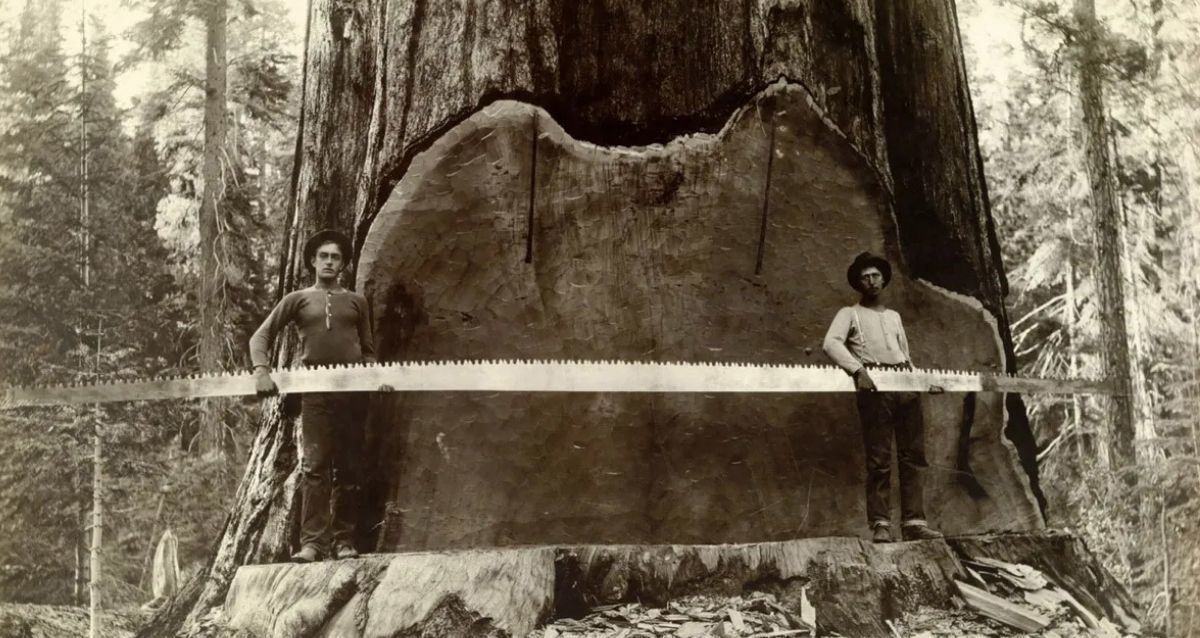 Hay imágenes increíbles que ha tomado National Geographic. (Foto: A.R. Moore Nat Geo Image Collection)