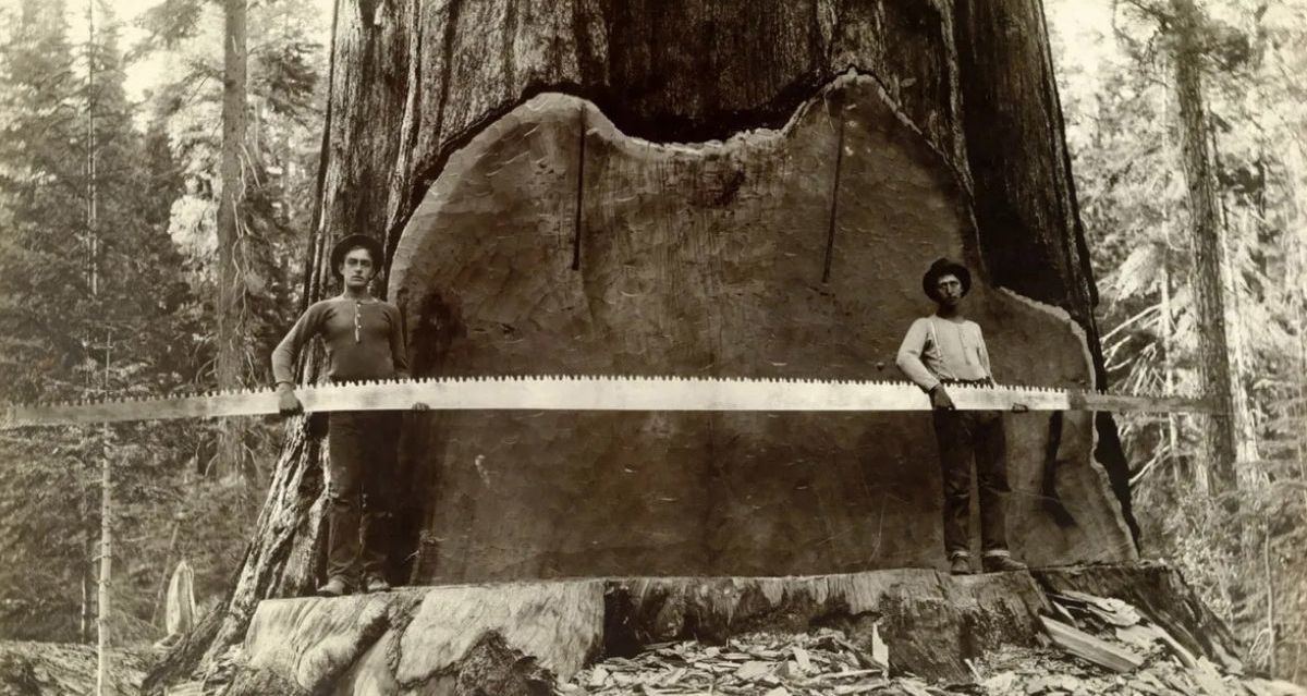 Hay imágenes increíbles que ha tomado National Geographic. (Foto: A.R. Moore Nat Geo Image Collection)