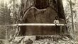 Hay imágenes increíbles que ha tomado National Geographic. (Foto: A.R. Moore Nat Geo Image Collection)