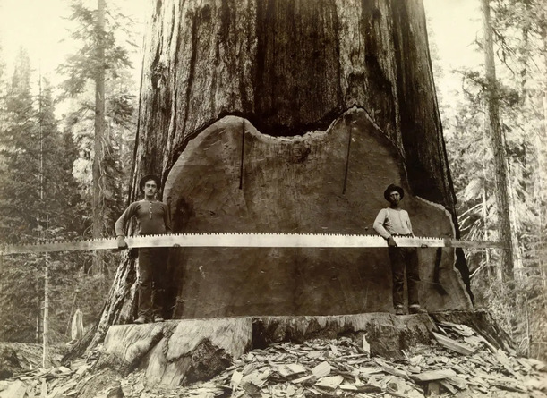Leñadores en California en 1917. (Foto: A.R. Moore Nat Geo Image Collection)