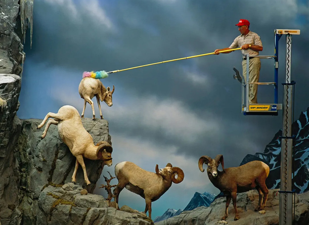 Limpiando animales salvajes. (Foto: JOEL SARTORE Nat Geo Image Collection)