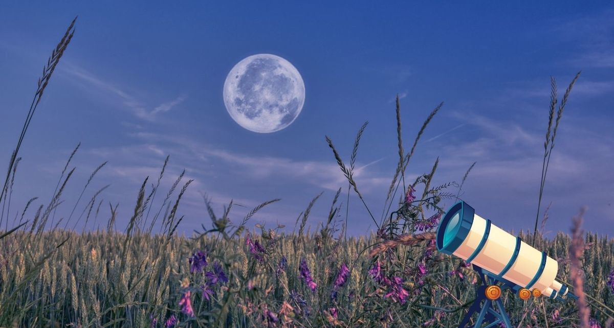 Esta es la fecha para ver la Luna de Flores en México (Foto:Especial)
