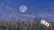 Esta es la fecha para ver la Luna de Flores en México (Foto:Especial)