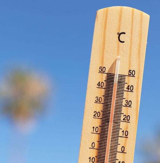 CDMX experimentará temperaturas de hasta 32° Centígrados por la primera ola de calor del 2025. Foto: Freepilk