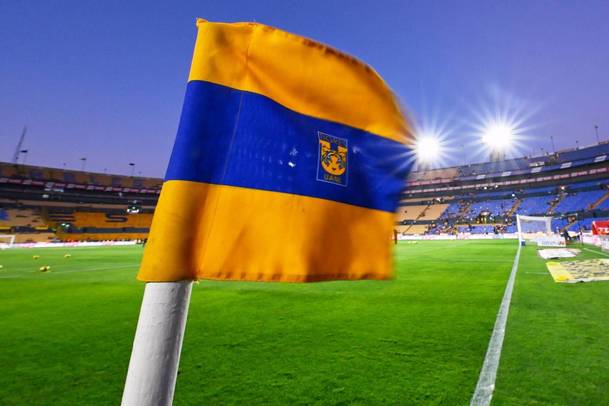 para top Tigres vs Necaxa