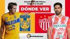 Rivalidad Tigres-Necaxa CFV Clausura 2025