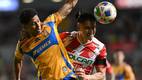 Tigres y Necaxa se juegan el boleto a las Semifinales del Clausura 2025 (Mexsport)