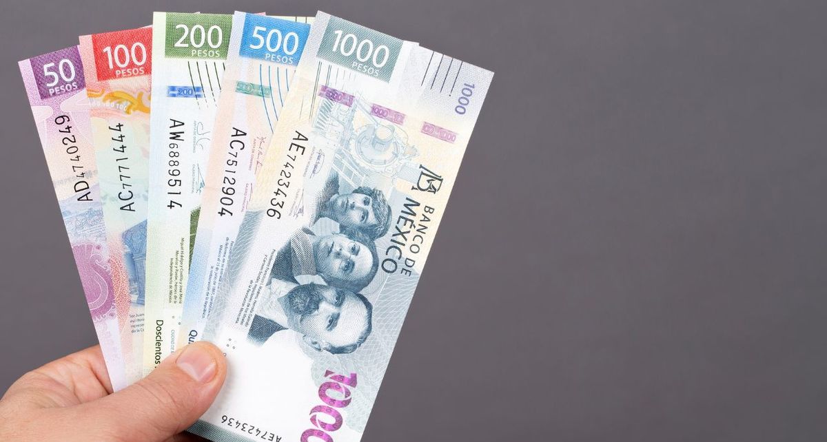 ¿Cuándo y quiénes pueden hacer un retiro anticipado de su dinero Afore? Te decimos. (FOTO): Especial.