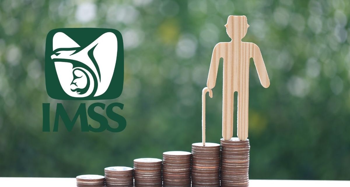 Pensiones IMSS: este es el año en que dejaron de ser garantizadas (Foto: Especial)
