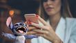 El modo Stitch puede llegar a tu whatsapp gracias a este paso a paso. (especial)