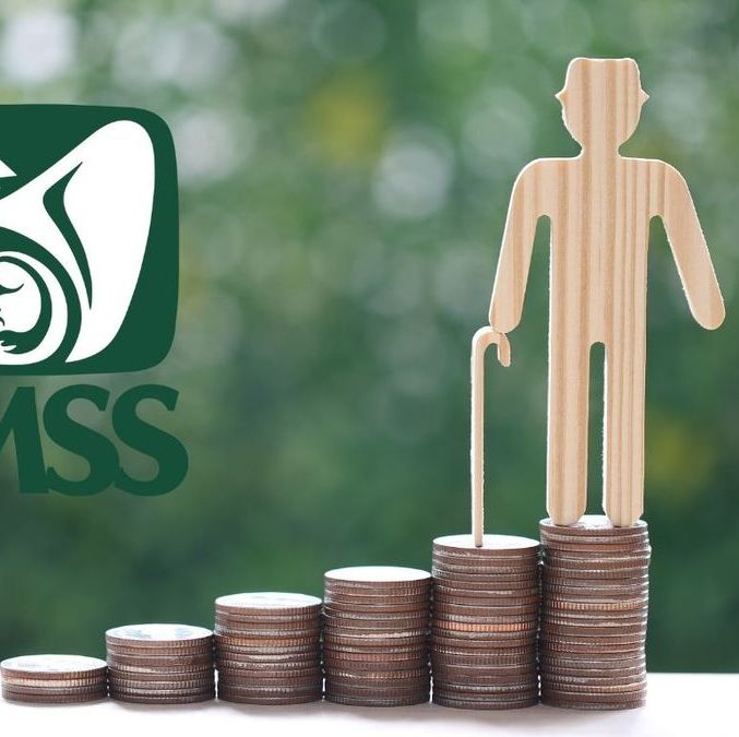 Pensiones IMSS: este es el año en que dejaron de ser garantizadas (Foto: Especial)