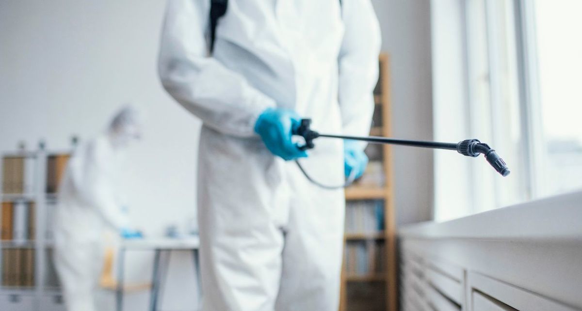 Sigue esta guía de remedios caseros para mantener tu casa libre de plagas de cucarachas. Foto: Freepik