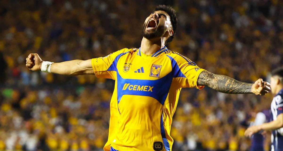 Purata seguirá formando parte de Tigres (Imago7)