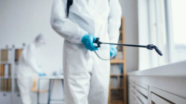 Sigue esta guía de remedios caseros para mantener tu casa libre de plagas de cucarachas. Foto: Freepik