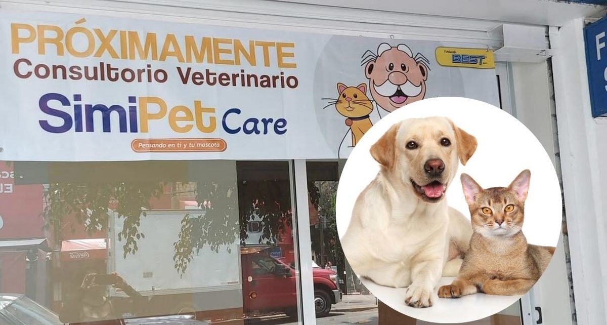 SimiPet Care 2025: cuándo abrirán las veterinarias de Farmacias Similares y qué precios tendrán las consultas para mascotas. (FOTO): Especial.