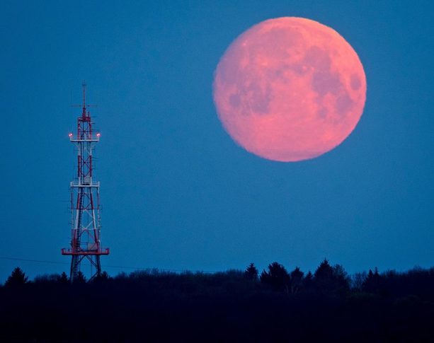 La 'Luna de Fresa' será la última luna llena de primavera este 2025. Foto: Especial