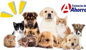 Farmacias del Ahorro anuncian veterinarias gratis en México: Así funcionarán
