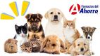Farmacias del Ahorro anuncian veterinarias gratis en México: Así funcionarán