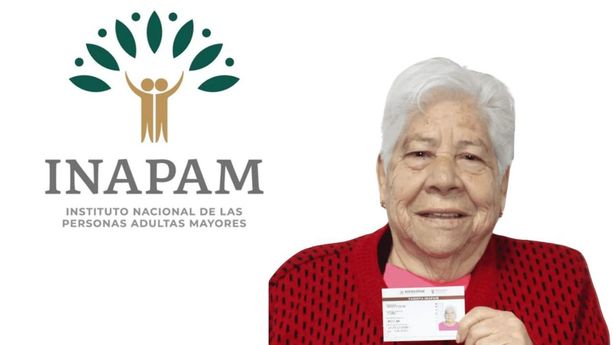 ¿Cómo solicitar una reposición de tarjeta de INAPAM GRATIS?