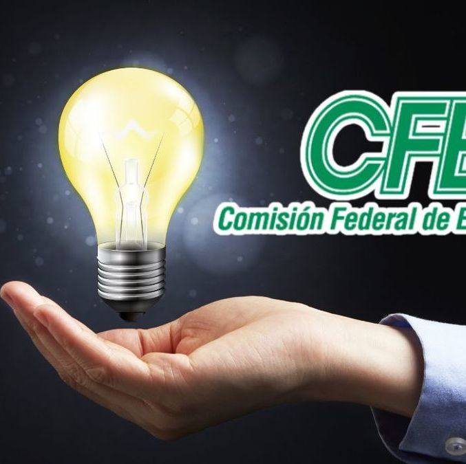 ¿Cómo reducir el consumo de energía de luz según PROFECO? Te decimos