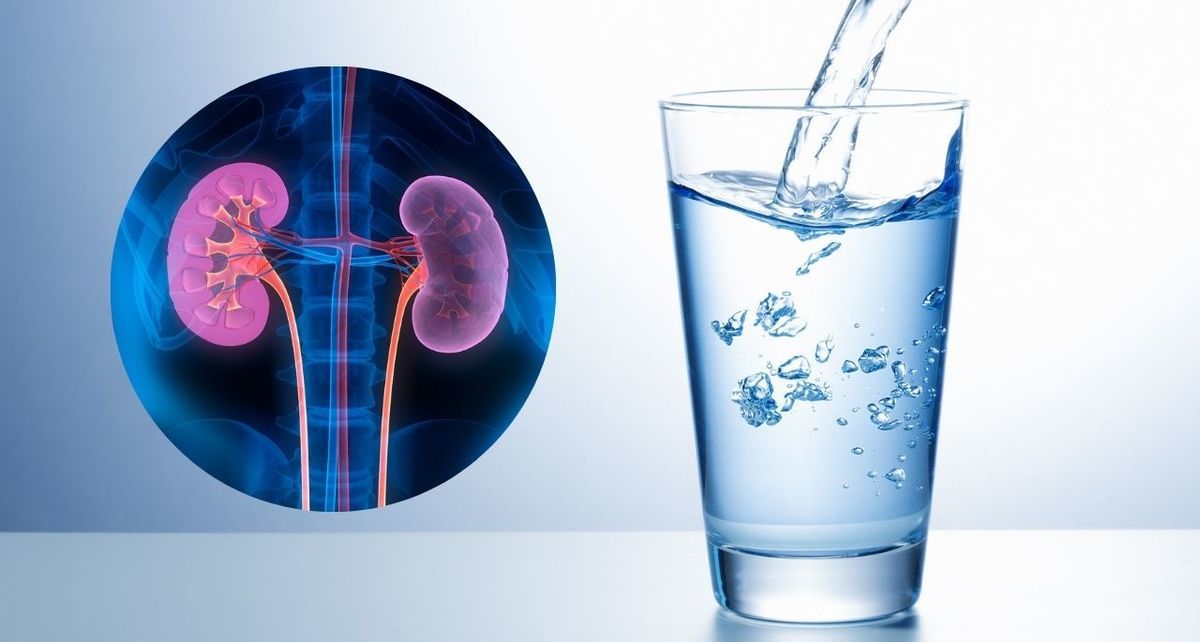 Conoce qué dicen los estudios sobre el consumo de agua mineral y cuáles son los efectos que tiene en la salud de las personas. (FOTO): Especial.