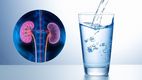Conoce qué dicen los estudios sobre el consumo de agua mineral y cuáles son los efectos que tiene en la salud de las personas. (FOTO): Especial.