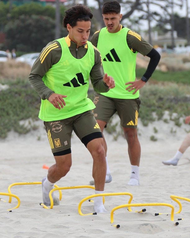 Los felinos trabajan en la arena de San Diego. (Foto: Tigres)