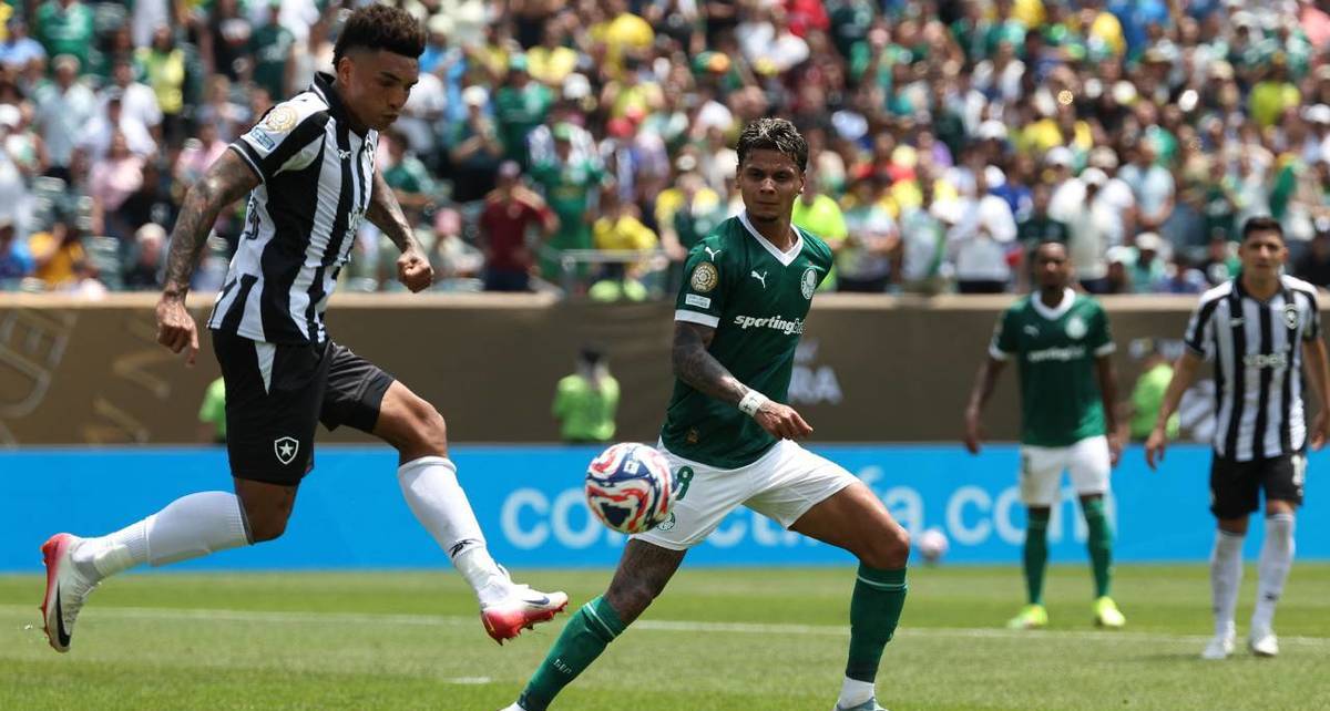 Palmeiras y Botafogo abrieron los Octavos de Final (AFP)