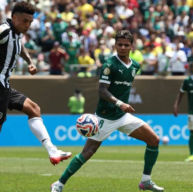 Palmeiras y Botafogo abrieron los Octavos de Final (AFP)