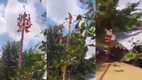 Voladores de Papantla sufren terrible accidente en pleno rito