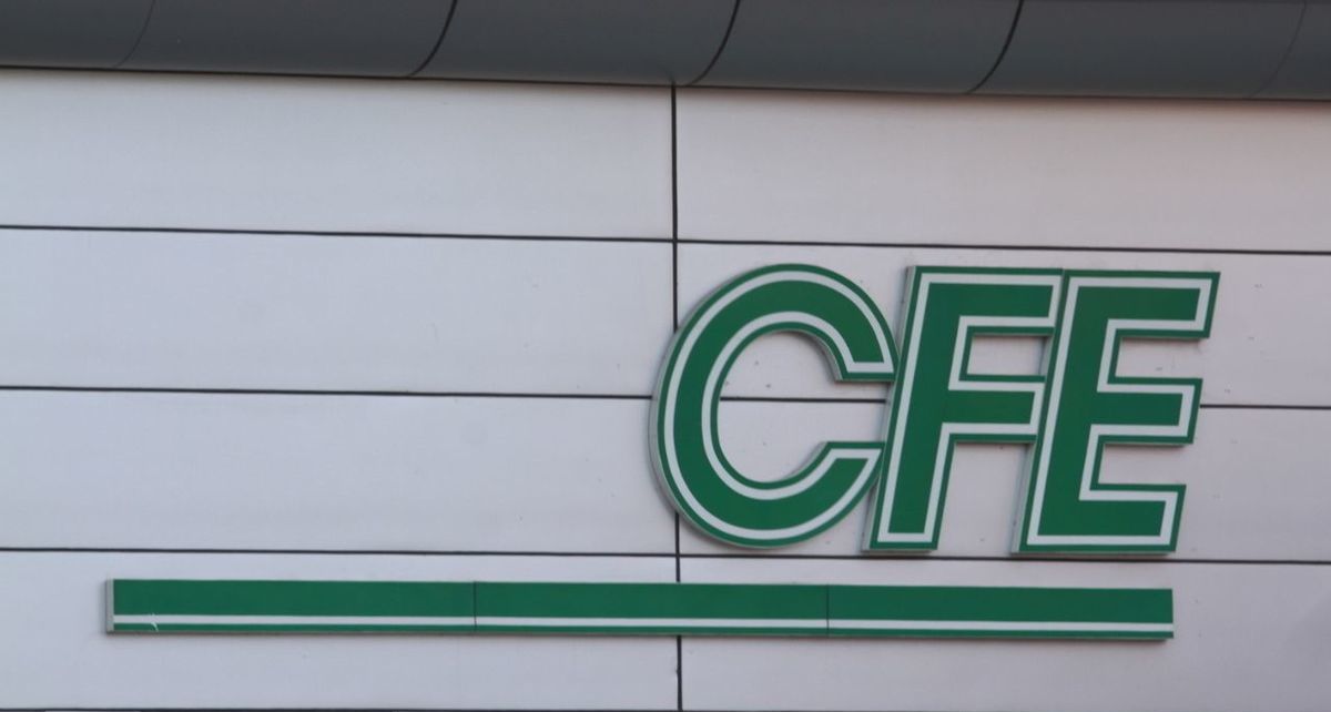 Personas con tarjeta INAPAM tienen acceso a descuentos y promociones pero ¿aplica en el recibo de CFE?