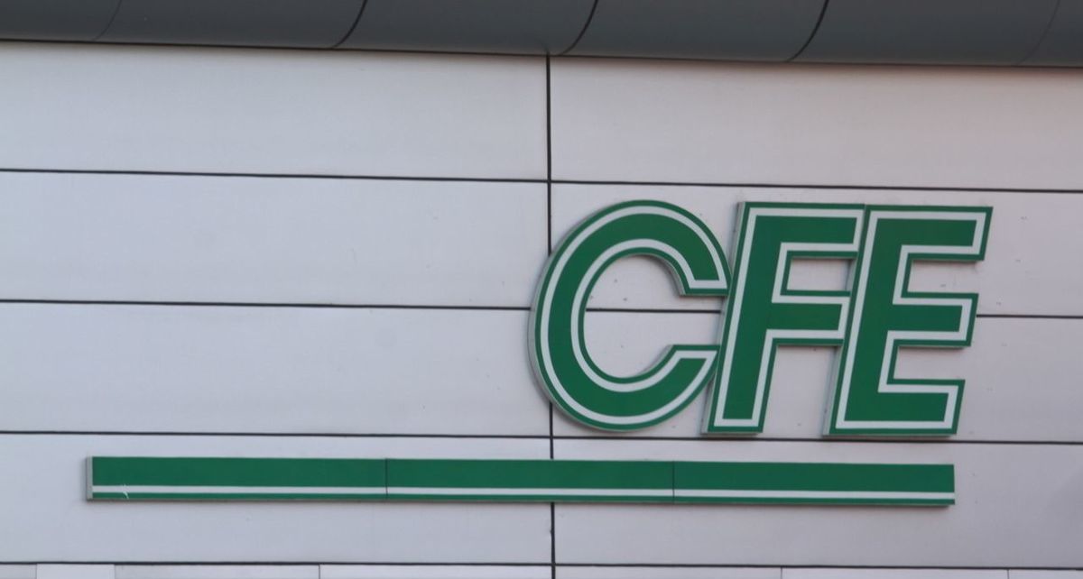 Personas con tarjeta INAPAM tienen acceso a descuentos y promociones pero ¿aplica en el recibo de CFE?