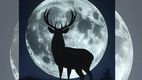 ¿Cuándo podremos ver la Luna de Ciervo este 2025?