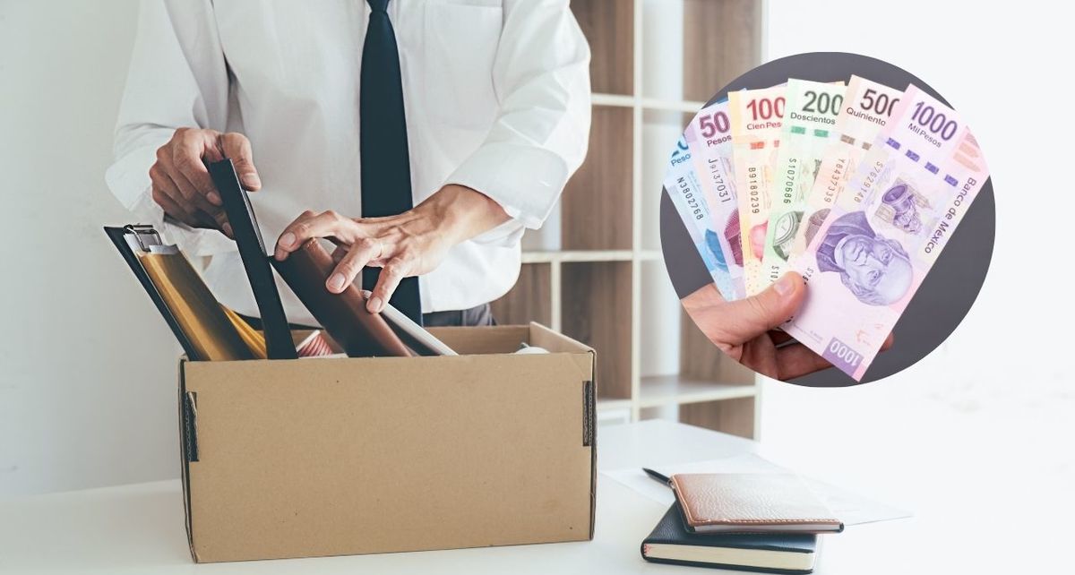 ¿Cómo registrarse a Seguro de Desempleo 2025 en CDMX y recibir hasta 10 mil pesos? (FOTO): Especial.