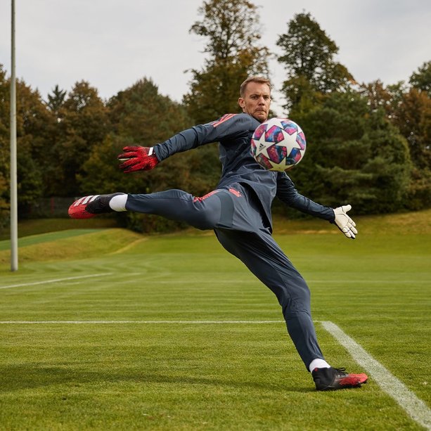 Manuel Neuer (X@Manuel_Neuer)