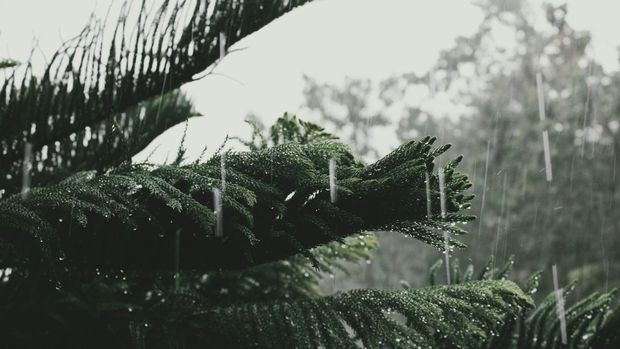 Monzón Mexicano 2025: Estas son las fechas claves y los estados que tendrán más lluvias