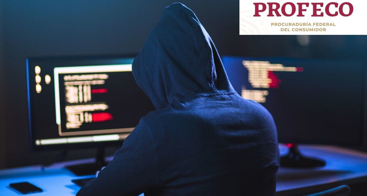 Profeco alerta sobre los fraudes más comunes en las vacaciones y cómo evitarlos (FOTO: Especial)