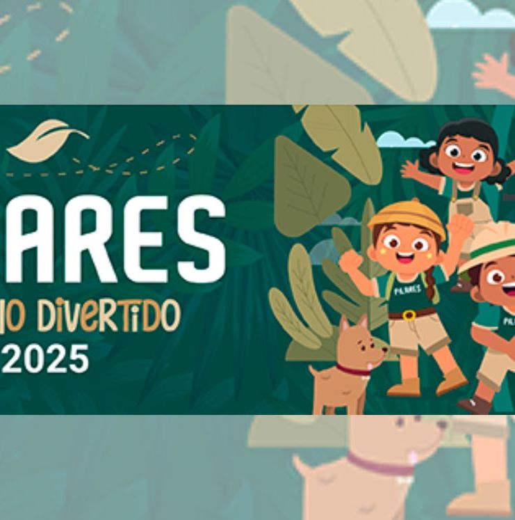 Verano Divertido 2025 en PILARES: fechas, actividades y requisitos| Foto: Pilares