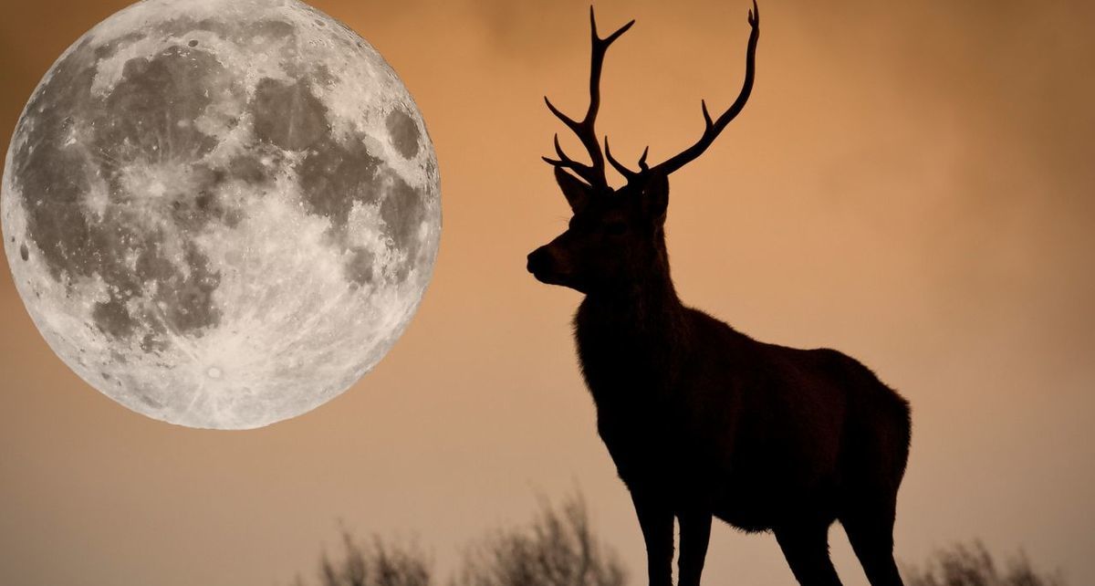 Luna del Ciervo: Esta es la fecha y el horario para observarla en julio de 2025