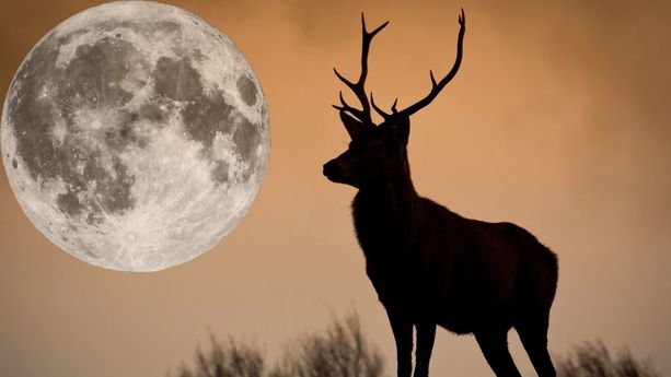 Luna del Ciervo: Esta es la fecha y el horario para observarla en julio de 2025